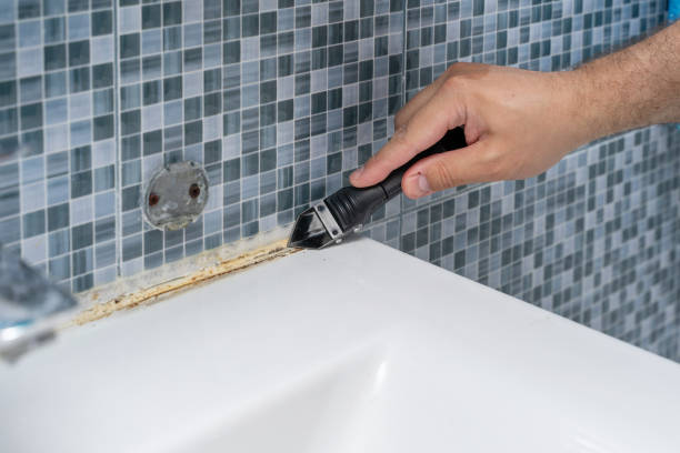 Best Black Mold Remediation in Cascade, ID